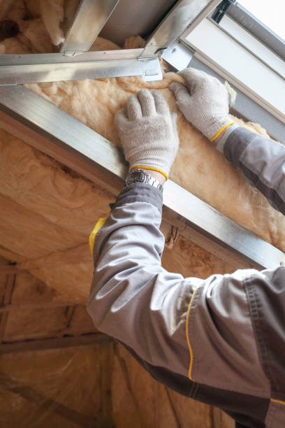 Best Professional Insulation Contractor  in Navarre, OH