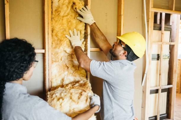 Best Garage Insulation Installation  in Navarre, OH